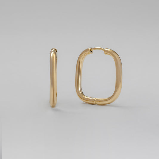 Lenny Hoops - FJC