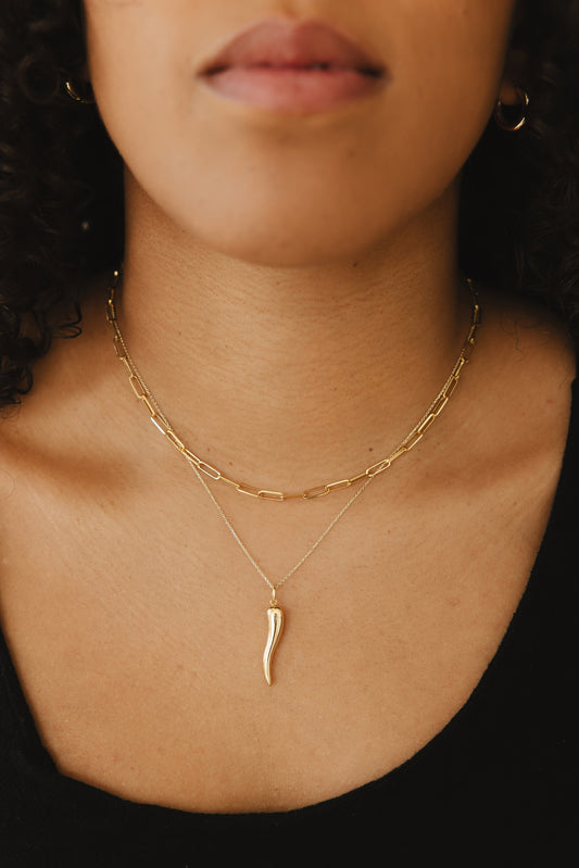 Italian Horn Pendant - FJC